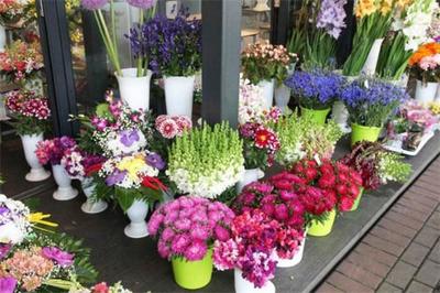 花滿堂花店加盟 把握商機，共創(chuàng)繁花似錦的創(chuàng)業(yè)之路